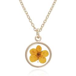 BONALUNA Pressed Flower Circle Frame Pendant with Yellow Gold Plated Necklace