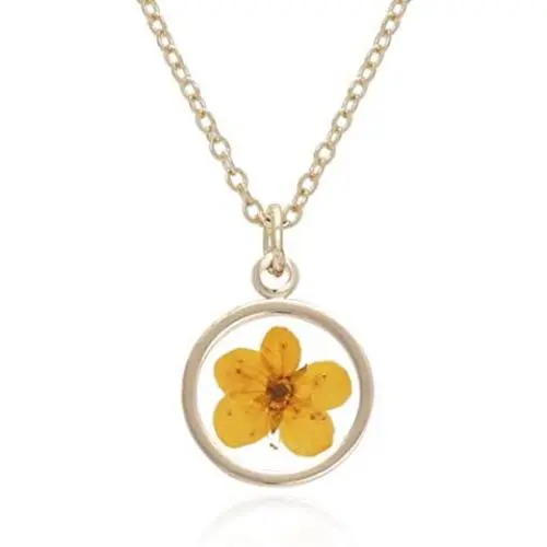 BONALUNA Pressed Flower Circle Frame Pendant with Yellow Gold Plated Necklace