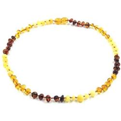 Amber Jewelry Shop Baltic Amber Necklace (Unisex) 13 inches/Certified Genuine Baltic Amber Necklace