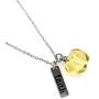 Stainless Steel Faith Pendant Necklace with Mustard Seed in Apple Shape Openable Bottle Case Charms Christian Necklaces Y786