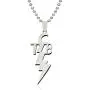 jewelry world Elvis TCB Necklace Stainless Steel Elvis Pendant Necklace Charm Taking Care of Business Elvis Motto for Men Women Fans neckalce Gift