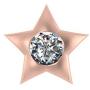 Adastra Jewelry 18k Rose Gold Over 925 Sterling Silver Teeth Charm Star