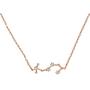 PAVOI 14K Gold Plated Astrology Constellation Horoscope Zodiac Necklace 16-18''
