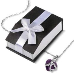 SmartChoice Keepsake Rhinestone Necklace Heart Pendant for Cremation Ashes with Beautiful Presentation Gift Box, Elegant Memorial Jewelry with Stainless Chain and Accessories,