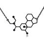 Clayton Jewelry Labs LSD Lysergic Acid Diethylamide Molecule Stainless Steel Necklace