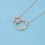 WUSUANED Aunt and Niece Necklace for Birthday Linked Circles Necklace Gift for Aunt Niece Bridesmaid Best Aunt Ever Jewelry WUSUANED Aunt and Niece Necklace for Birthday Linked Circles Necklace Gift for Aunt Niece Bridesmaid Best Aunt Ever Jewelry