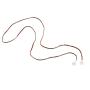 FXmimior Silver Coin Pendant Long Chain Choker Layered Bar Party Wedding Necklace Jewelry For Women (brown)