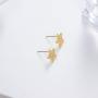 I tried Gold Star Stud Funny Meme Earrings Tarnish Resistant Earrings Funny Enamel Pin Star Enamel Pin
