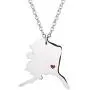 TAGOMEI Newly Silver Tone Stainless Steel map Pendant Necklace with a red Heart. TAGOMEI Newly Silver Tone Stainless Steel map Pendant Necklace with a red Heart.