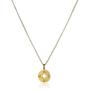 Dogeared ''Going Places'' Compass Disc Chain Necklace