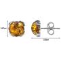 Amber Earrings Stud 925 Sterling Silver