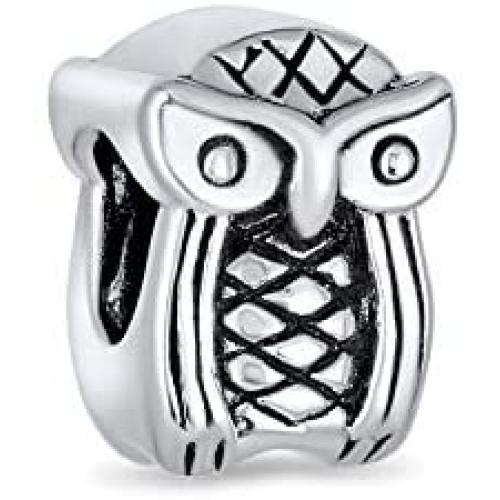 Wise Graduate Owl Bird Charm Bead For Women Student For Teen Oxidized .925 Sterling Silver Fits European Charm Bracelet