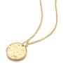 Agvana Constellation Necklaces for Women 14k Gold Plated 925 Sterling Silver CZ Coin Zodiac Pendant Fashion Jewelry Unique Gifts for Women Girlfriend Bestfriend Girls&nbs