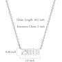 Glimmerst Stainless Steel Birth Year Necklace for Women Birthday Year Number Pendant Necklaces Memorable Anniversary Jewelry for Girls