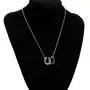 KEYCHIN Lucky Horseshoe Jewellery Horse Lovers Gift Popular Double U-Shaped Black and White Horseshoe U-Shaped Clavicle Necklace for Woman and Girl KEYCHIN Lucky Horseshoe Jewellery Horse Lovers Gift Popular Double U-Shaped Black and White Horseshoe U-Shaped Clavicle Necklace for Woman and Girl