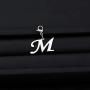 ENSIANTH Intial Letter A-Z Alphabet Charm for Bracelet Necklace Initial Stainless Steel Clasp Clip on Charm