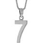 Sterling Silver Number 7 Necklace for Jersey Numbers & Recovery High Polish 3/4 inch, 2mm Curb Chain