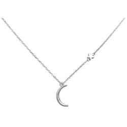 ROSTIVO Moon Necklaces for Women and Girls Moon Star Necklace Pendant Necklace (Silver)