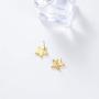 I tried Gold Star Stud Funny Meme Earrings Tarnish Resistant Earrings Funny Enamel Pin Star Enamel Pin