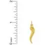 Charm America - Gold Italian Horn Charm - 14 Karat Solid Gold