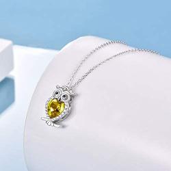 WINNICACA Birthstone Necklace s925 Sterling Silver Owl Pendant Necklace Jewelry Gifts Women Girls Birthday Christmas Owl Lovers