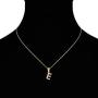 CONGYUN Tiny Gold Plated Personality Initial Necklace Letter Pendant Necklace with Cubic Zirconia Birthday Gifts for Girls, Boys, Women, Men（Letters A to Z 26）