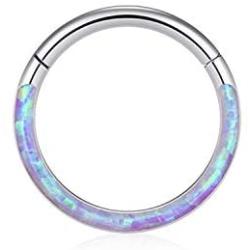 Uzgtvy 16G Opal Septum Rings Hoop Nose Ring Lip Rings Stainless Steel Hinged Segment Ring Seamless Clicker Ring Cartilage Earrings Hoop Helix Tragus Septum Piercing Jewerly