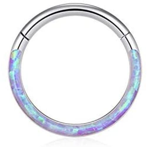 Uzgtvy 16G Opal Septum Rings Hoop Nose Ring Lip Rings Stainless Steel Hinged Segment Ring Seamless Clicker Ring Cartilage Earrings Hoop Helix Tragus Septum Piercing Jewerly