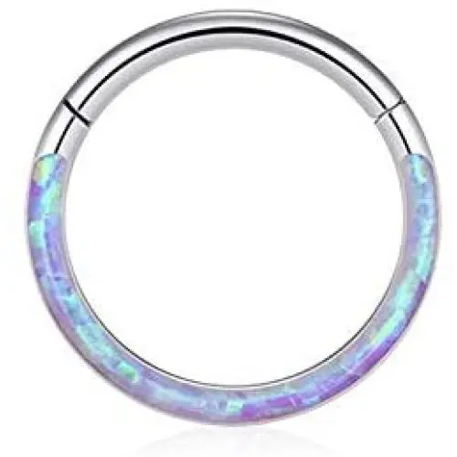 Uzgtvy 16G Opal Septum Rings Hoop Nose Ring Lip Rings Stainless Steel Hinged Segment Ring Seamless Clicker Ring Cartilage Earrings Hoop Helix Tragus Septum Piercing Jewerly Uzgtvy 16G Opal Septum Rings Hoop Nose Ring Lip Rings Stainless Steel Hinged Segment Ring Seamless Clicker Ring Cartilage Earrings Hoop Helix Tragus Septum Piercing Jewerly
