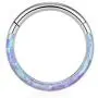 Uzgtvy 16G Opal Septum Rings Hoop Nose Ring Lip Rings Stainless Steel Hinged Segment Ring Seamless Clicker Ring Cartilage Earrings Hoop Helix Tragus Septum Piercing Jewerly Uzgtvy 16G Opal Septum Rings Hoop Nose Ring Lip Rings Stainless Steel Hinged Segment Ring Seamless Clicker Ring Cartilage Earrings Hoop Helix Tragus Septum Piercing Jewerly
