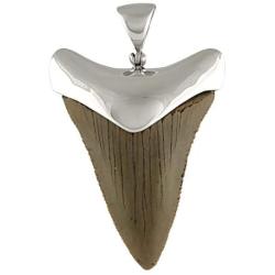 Fossil Giant Great White Shark Tooth Sterling Silver Pendant