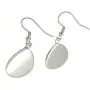 Earrings/Hummingbird Tear drop Earring Glass Dome Photo Jewelry Bird Art Earrings