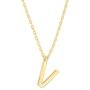 PAVOI 14K Gold Plated Initial Necklace | Letter Necklaces for Women