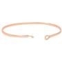GLAM Forever Family Sentimental Message Thin Brass Bangle Hook Bracelet for Loved Ones
