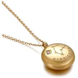 ZHENXI 12 Constellations Horoscope Zodiac Necklace 18K Gold Plated Cubic Zirconia Jewelry for Women Girl Astrology Dainty Birthday Gifts with Packing