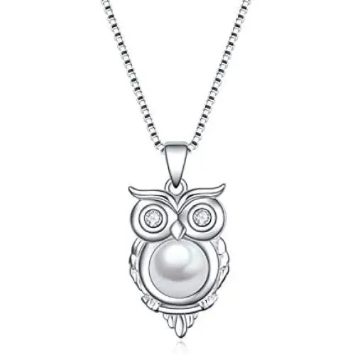 YFN Owl Necklace 925 Sterling Silver Owl Pendant I Love You 100 Languages Love Owl Necklace for Women Girlfriend Jewelry Gifts YFN Owl Necklace 925 Sterling Silver Owl Pendant I Love You 100 Languages Love Owl Necklace for Women Girlfriend Jewelry Gifts