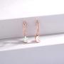 ZEINZE 925 Sterling Silver Star Moon Opal Earrings for Women Girls Cute Bling Drop Dangle Earrings Jewelry Gift Christmas Birthday Gift