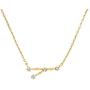 PAVOI 14K Gold Plated Astrology Constellation Horoscope Zodiac Necklace 16-18''