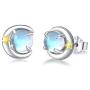 Moonstone Earrings for Women,Star/Evil Eye/Moon Star/Penguin S925 Sterling Silver Hypoallergenic 5mm Moonstone Stud Animal Minimalist Earrings for Sensitive Ears Gift for Lover
