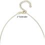 PAVOI 14K Gold Plated 1.00 ct (D Color, VVS Clarity) CZ Simulated Diamond Bezel-Set Solitaire Choker Necklace | Sterling Silver Necklace for Women