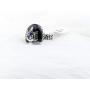Stefan Inspired Family Signet Crest Daylight Ring