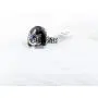 Stefan Inspired Family Signet Crest Daylight Ring Stefan Inspired Family Signet Crest Daylight Ring