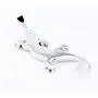 Platinum plated Sterling Silver Blue Opal Lizard Gecko Pendant Necklace WIth Curb Chain 18In For Women Girls Children