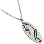 Joyful Sentiments Pet Jewelry Stainless Steel Think Pawsitive Oval Shape Cat Pendant Necklace 18 Inch Chain with 3 Inch Extender