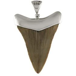 Fossil Giant Great White Shark Tooth Sterling Silver Pendant