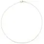 HONEYCAT Thin Chain 15'' Choker Necklace in Gold, Rose Gold, or Silver | Minimalist, Delicate Jewelry HONEYCAT Thin Chain 15'' Choker Necklace in Gold, Rose Gold, or Silver | Minimalist, Delicate Jewelry