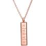Pill Necklace,Womens Girls Small Pill Capsule Xanax ID Bar Pendant Stainless Steel Necklace Jewelry