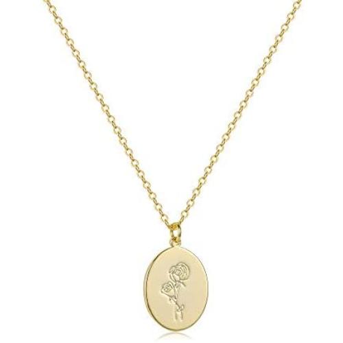 S.J JEWELRY 14K Gold Plated Guardian Flower Necklace Disc Coin Pendant Personalized Gift for Women Girls 12 Months Constellation Birthday Lucky Flower Necklace