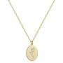 S.J JEWELRY 14K Gold Plated Guardian Flower Necklace Disc Coin Pendant Personalized Gift for Women Girls 12 Months Constellation Birthday Lucky Flower Necklace