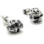 Fusamk Punk Rock Titanium Steel Flower Pattern Crystal Eye Skull Stud Earrings